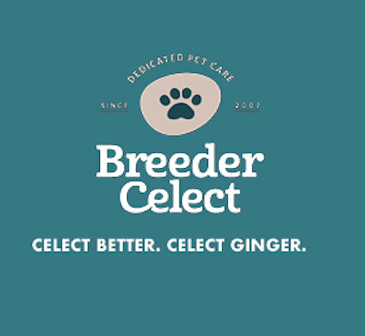 Breeder Celect 紙砂
